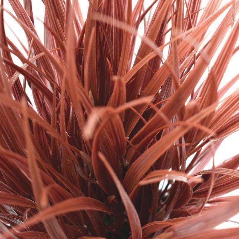 38cm Ornamental Potted Artificial Grass Plant Dense Burgundy - Designer Vertical Gardens artificial garden wall plants artificial green wall australia