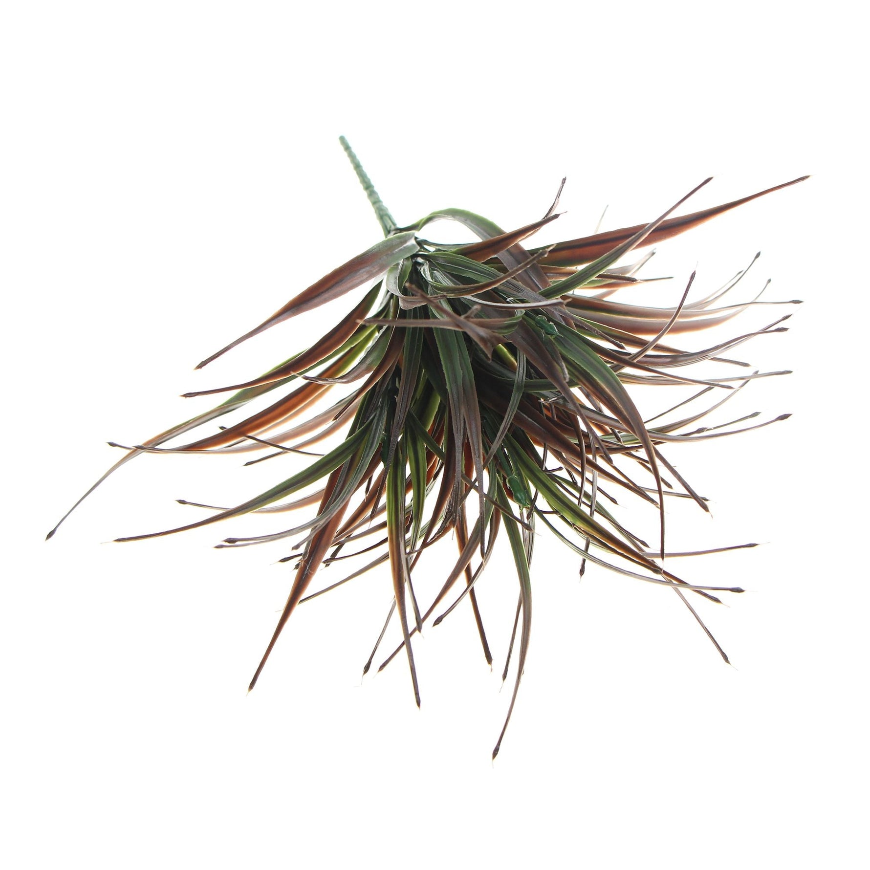 (5 Pack) Artificial Stem Brown Tipped Fake Grass Plant 35cm - Designer Vertical Gardens artificial green wall sydney artificial vertical garden melbourne