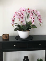 66cm Multi Stem Pink Butterfly Artificial Potted Orchid - Designer Vertical Gardens artificial garden wall plants artificial green wall australia