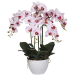 66cm Multi Stem Pink Butterfly Artificial Potted Orchid - Designer Vertical Gardens artificial garden wall plants artificial green wall australia