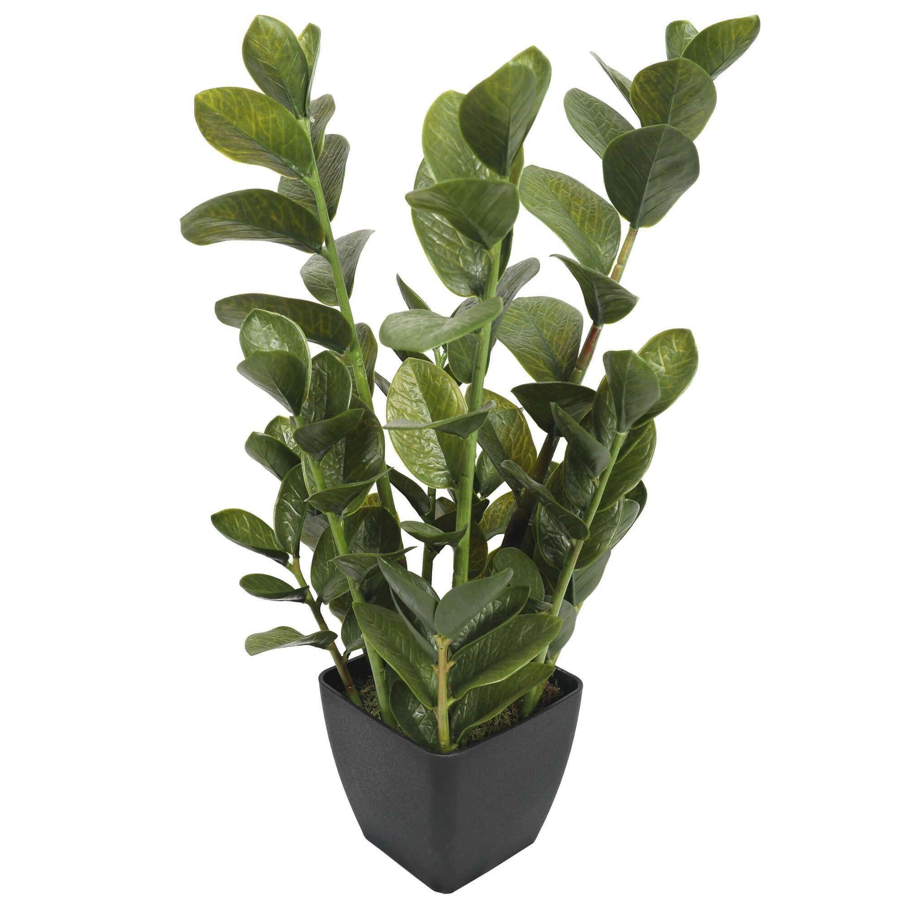 72cm Potted Multi Stem Faux Zanzibar - Designer Vertical Gardens artificial garden wall plants artificial green wall australia