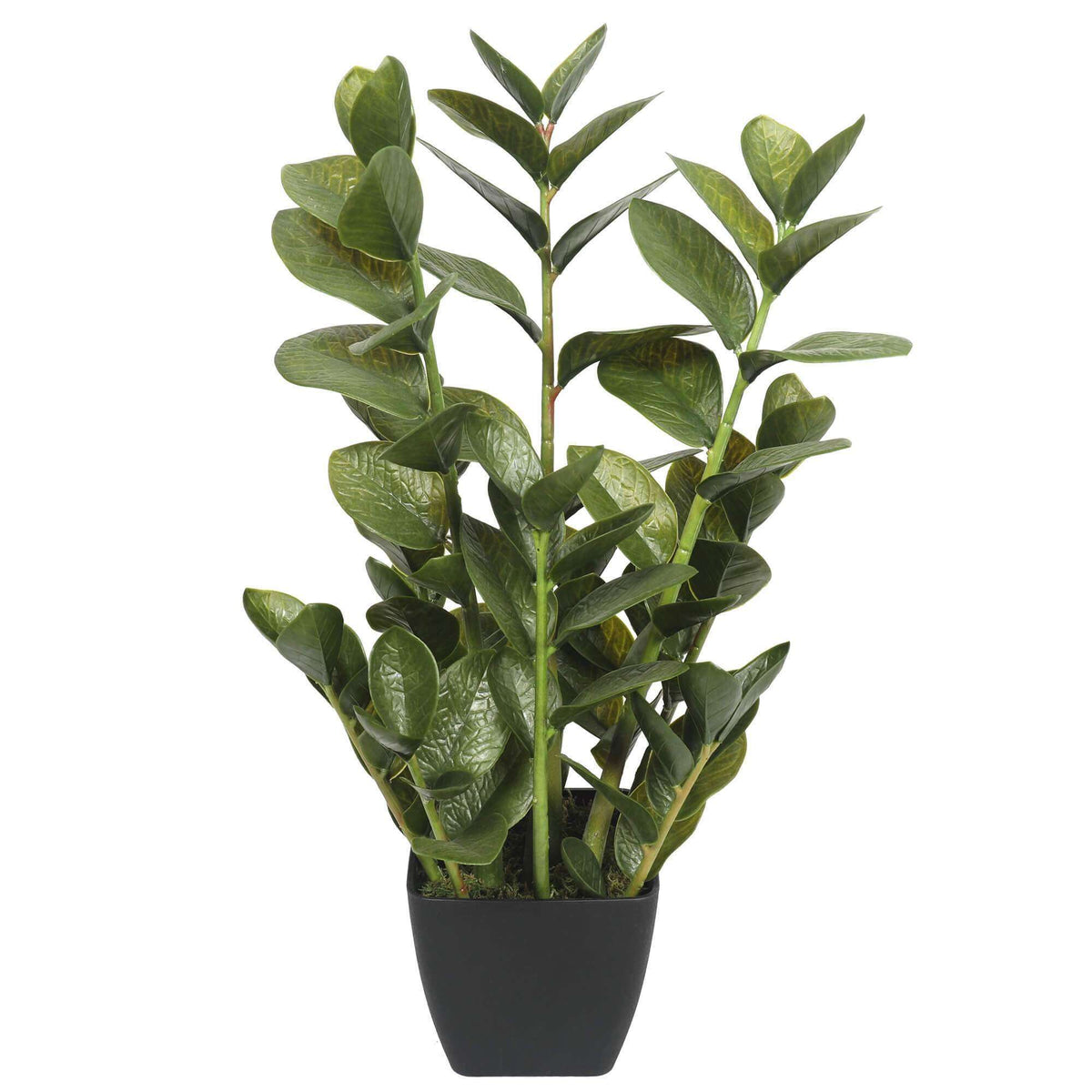 72cm Potted Multi Stem Faux Zanzibar - Designer Vertical Gardens artificial garden wall plants artificial green wall australia