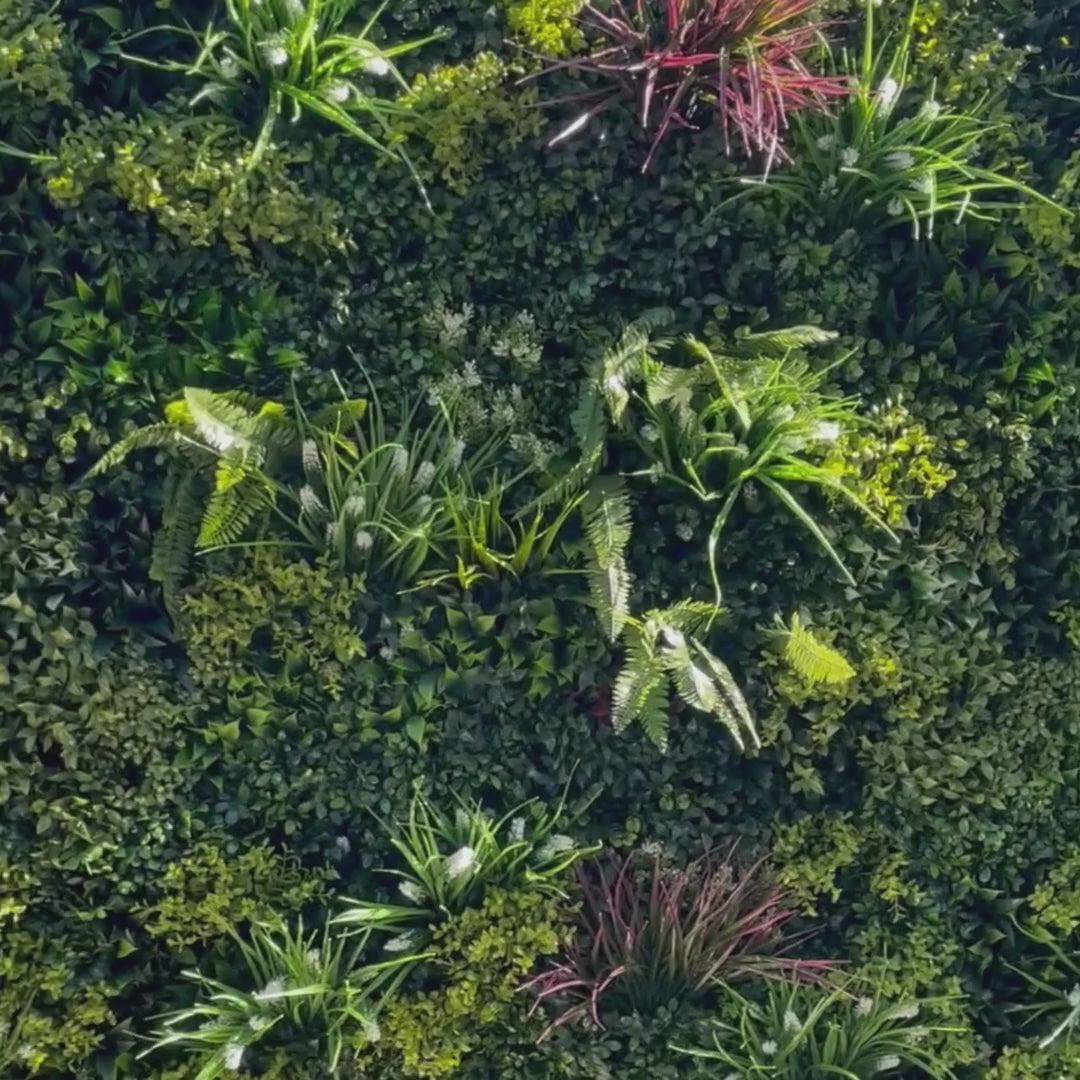 High quality artificial green wall panel Sydney