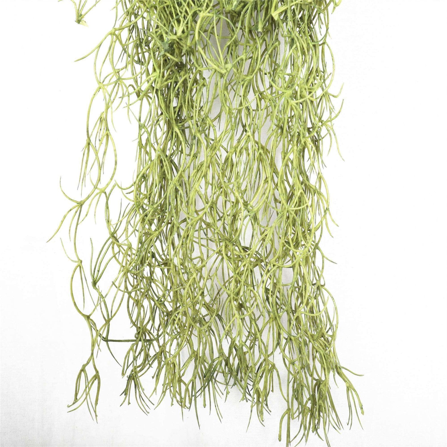 Artificial Air Plant / Spanish Moss (Old Man Beard) 60cm - Designer Vertical Gardens artificial green wall australia green wall