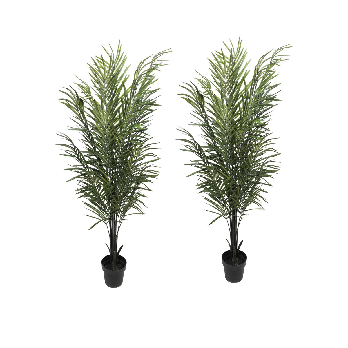 Artificial Areca Palm Black Trunks 190cm (2 Artificial Palm Set) - Designer Vertical Gardens artificial garden wall plants artificial green wall installation