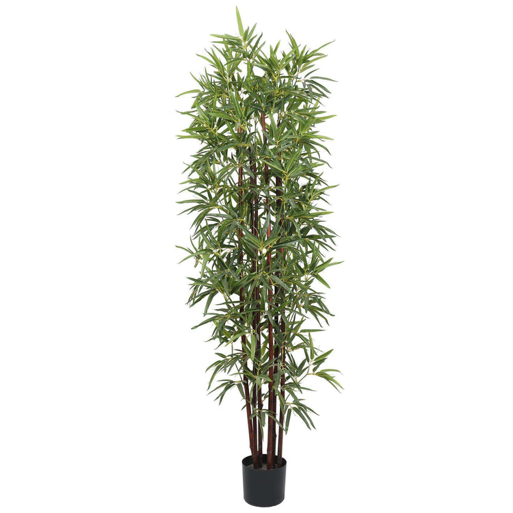 Buy Artificial Bamboo Plants Online in Australia | Fake Bamboo Plants ...