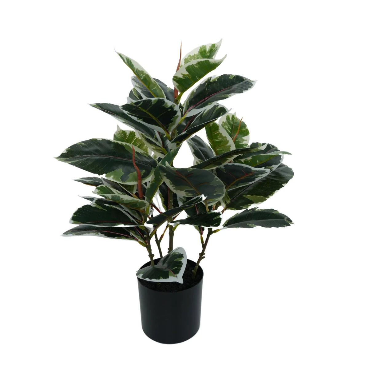 Artificial Bushy Dense Variegated Ficus Tree (Rubber Tree) 50cm - Designer Vertical Gardens Artificial Ficus artificial garden plants