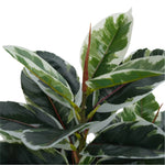 Artificial Bushy Dense Variegated Ficus Tree (Rubber Tree) 50cm - Designer Vertical Gardens Artificial Ficus artificial garden plants