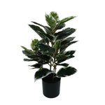 Artificial Bushy Dense Variegated Ficus Tree (Rubber Tree) 50cm - Designer Vertical Gardens Artificial Ficus artificial garden plants