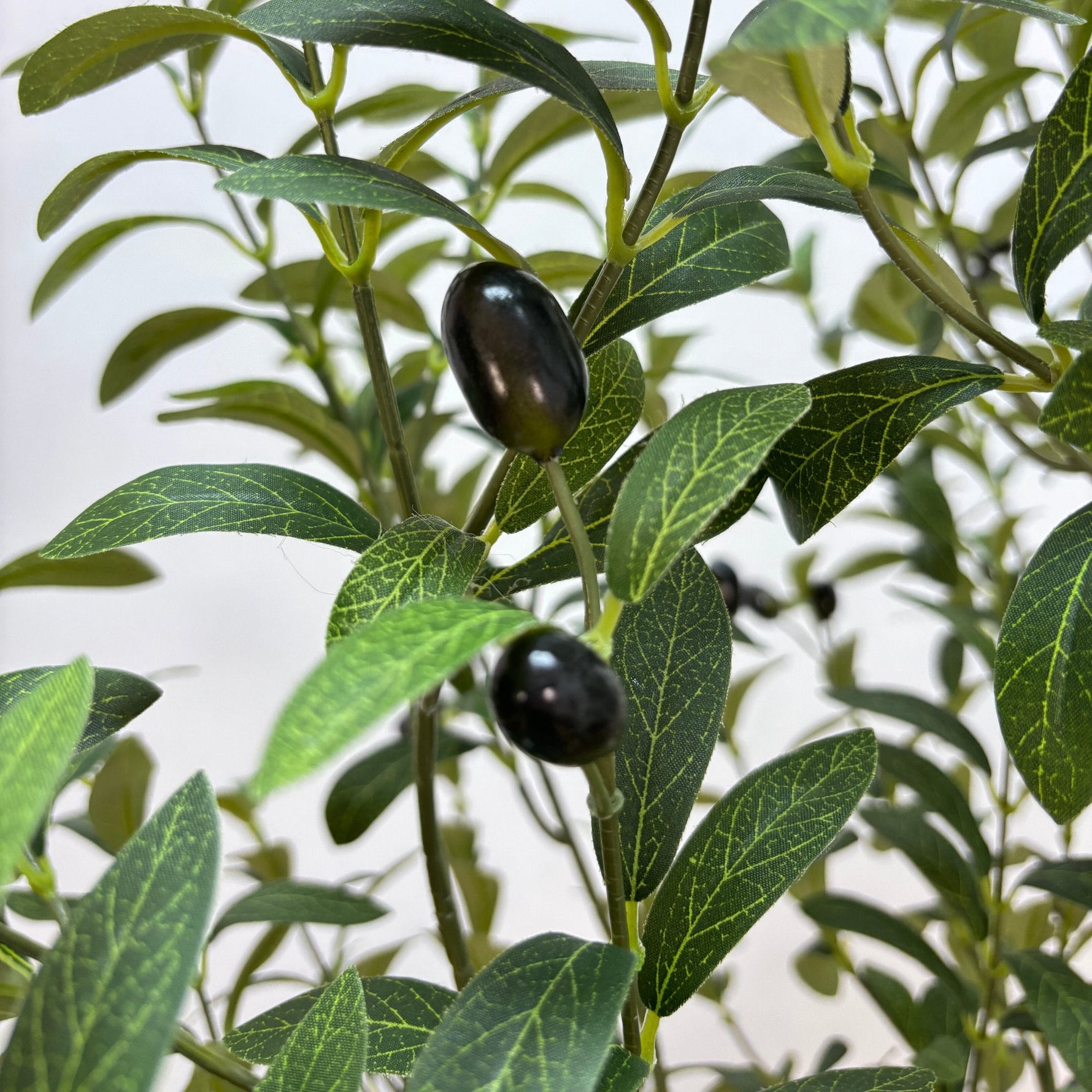 Artificial Bushy Olive Tree With Olives 180cm - Designer Vertical Gardens artificial garden wall plants artificial green wall australia