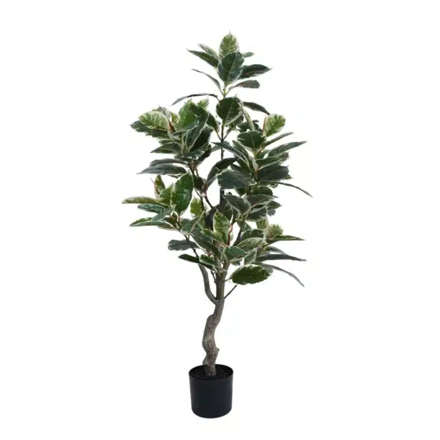 Artificial Bushy Variegated Ficus Tree (Rubber Tree) 120cm - Designer Vertical Gardens