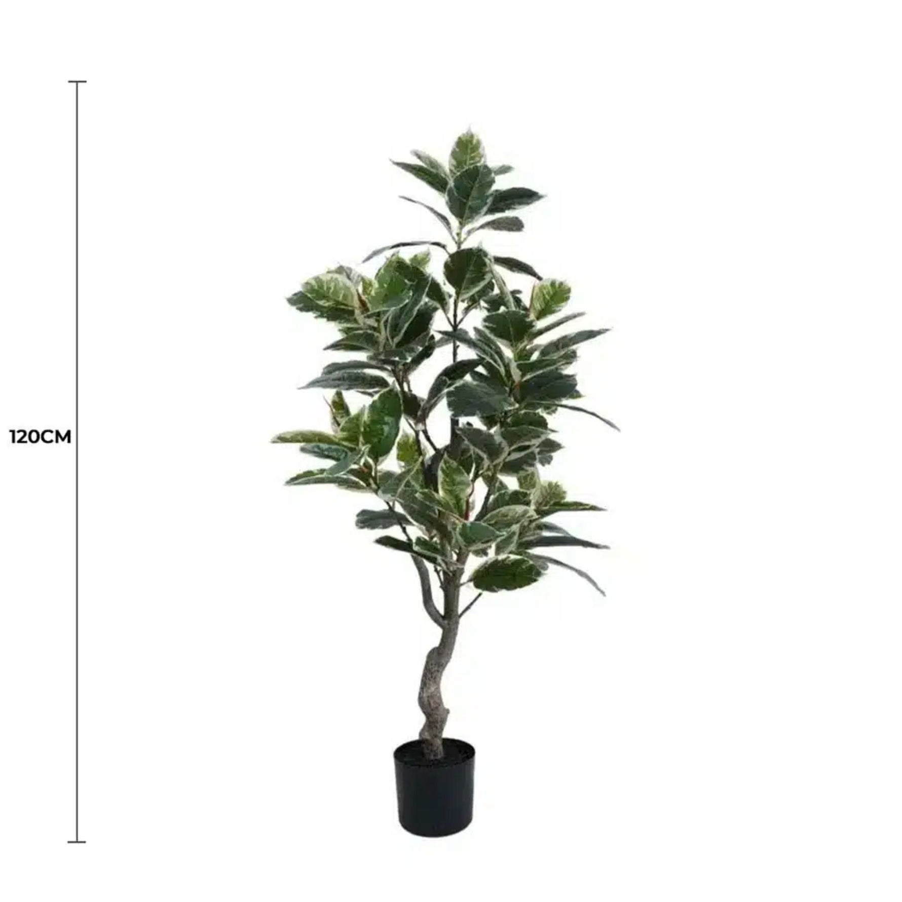 Artificial Bushy Variegated Ficus Tree (Rubber Tree) 120cm - Designer Vertical Gardens