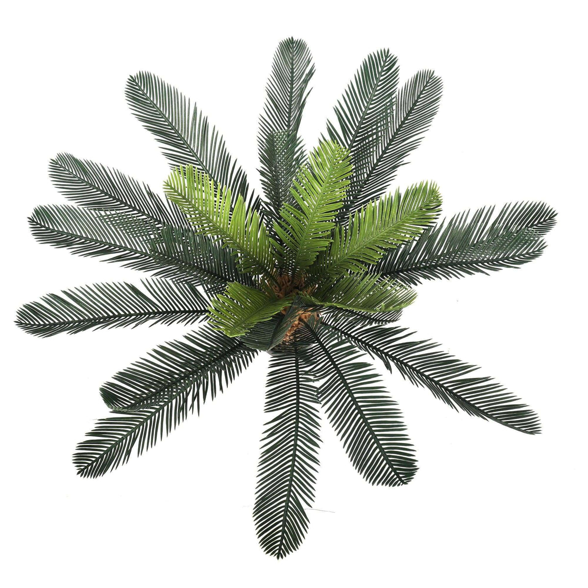 Artificial Cyac (Cycad) Plant 60cm - Designer Vertical Gardens artificial green wall sydney artificial vertical garden melbourne