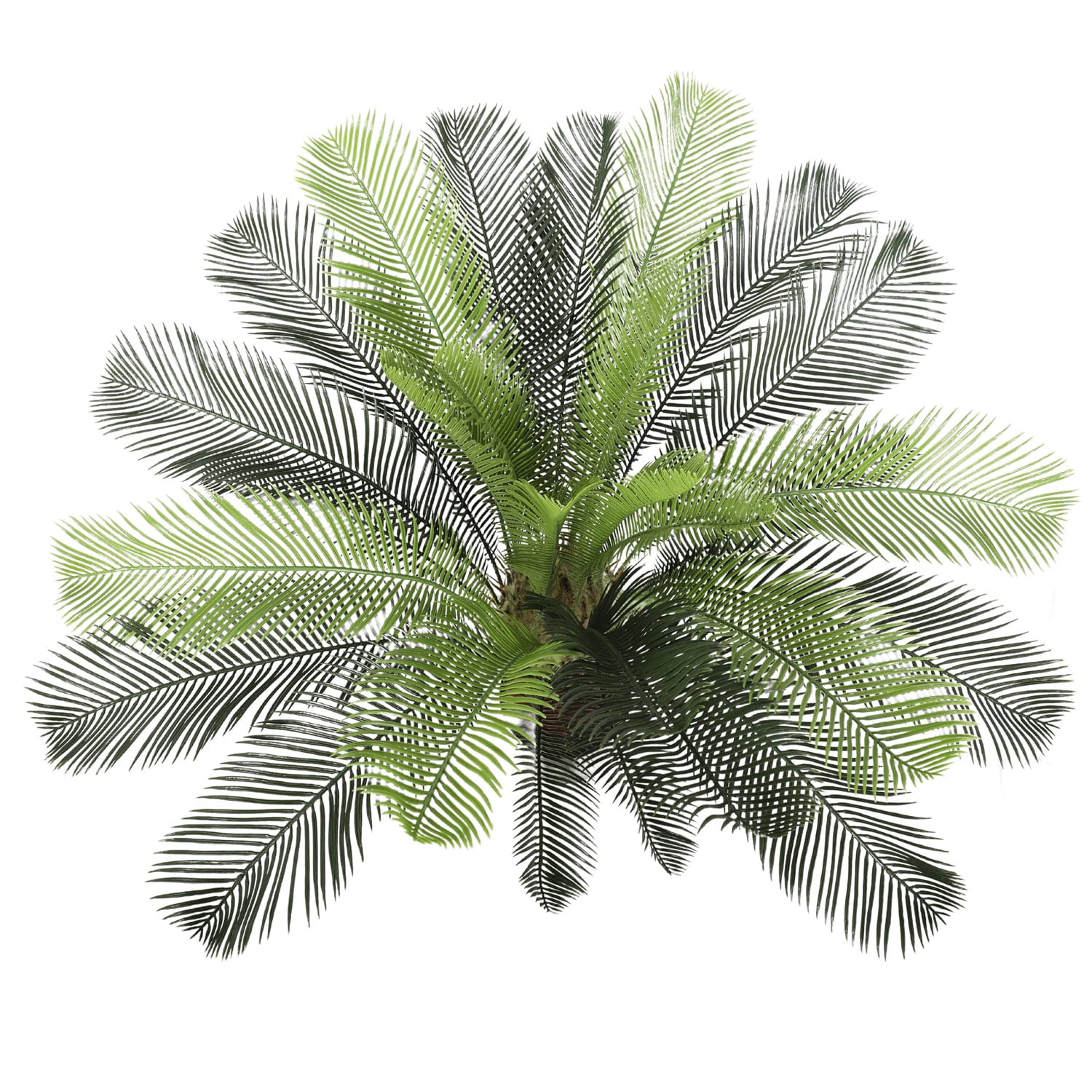 Artificial Cycas / Cycad Palm Tree 105cm UV Resistant - Designer Vertical Gardens Artificial Trees for Balconies Artificial Trees for Commercial Properties