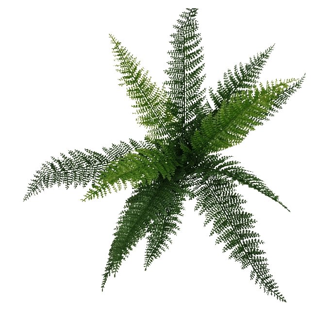 Artificial Draping Fern Stem 45cm - Designer Vertical Gardens artificial garden wall plants artificial green wall installation