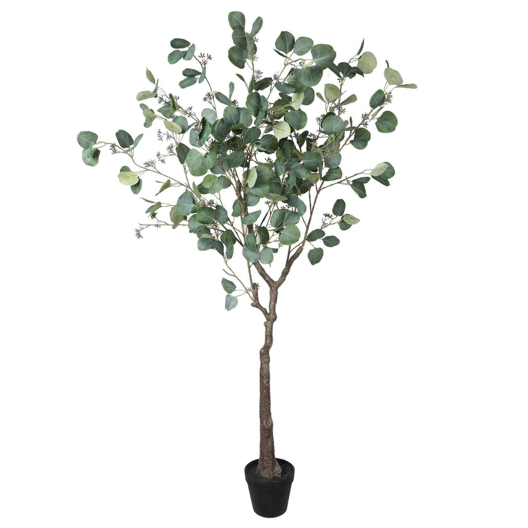 Artificial Eucalyptus Tree (Red Box Eucalyptus Polyanthemos) 150cm - Designer Vertical Gardens Articial Trees artificial vertical garden melbourne