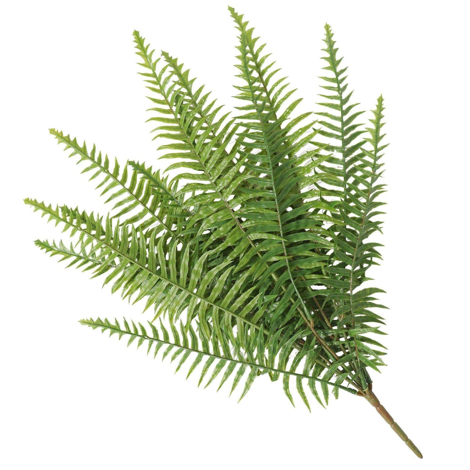 Artificial Fern (Lady Fern) 50cm UV Resistant - Designer Vertical Gardens