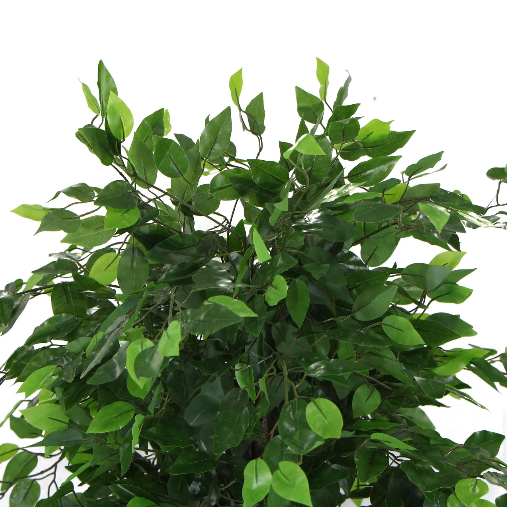 Artificial Ficus Tree 180cm Nearly Natural UV Resistant - Designer Vertical Gardens Artificial Ficus Artificial Trees