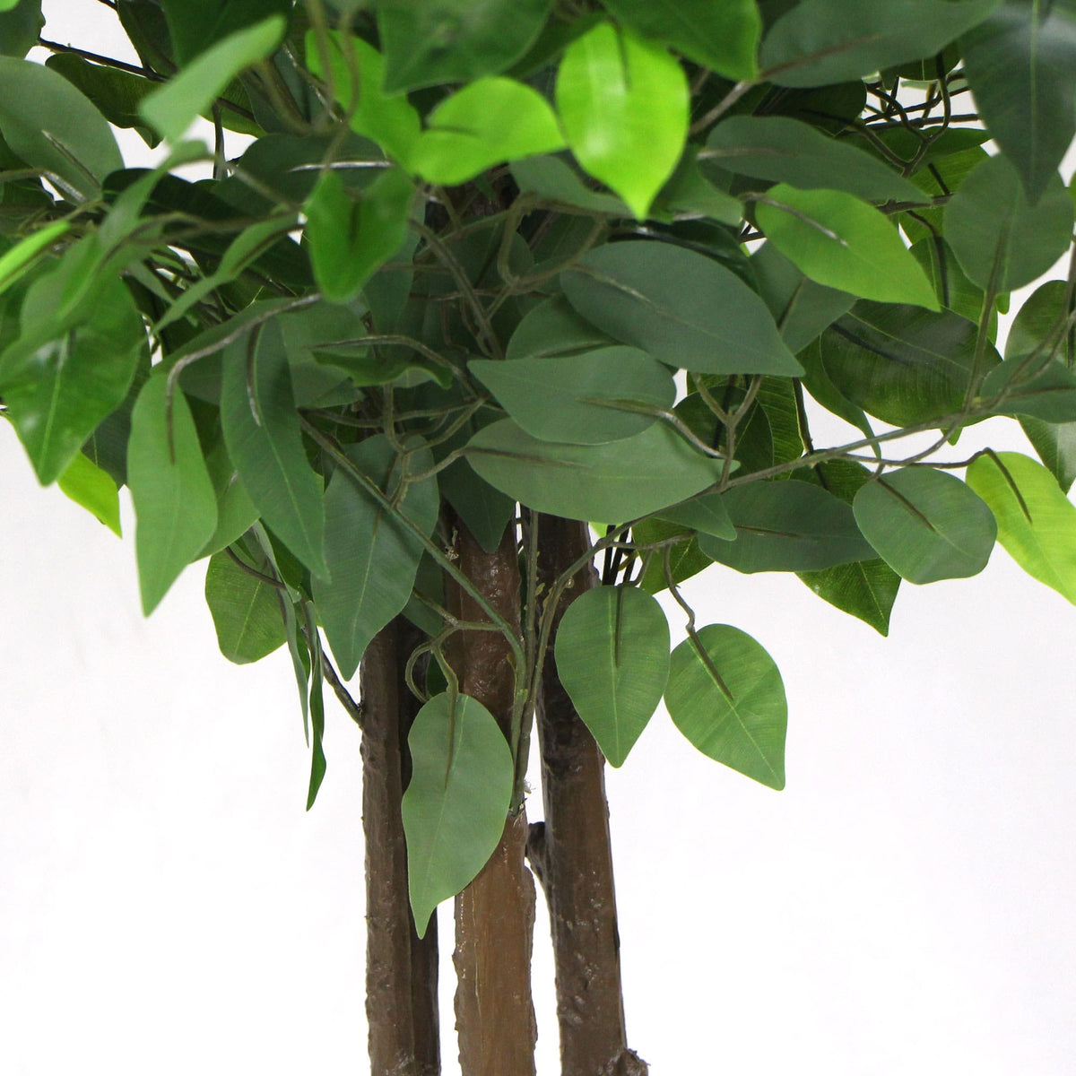 Artificial Ficus Tree 180cm Nearly Natural UV Resistant - Designer Vertical Gardens Artificial Ficus Artificial Trees