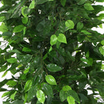 Artificial Ficus Tree 180cm Nearly Natural UV Resistant - Designer Vertical Gardens Artificial Ficus Artificial Trees