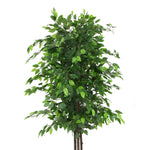 Artificial Ficus Tree 180cm Nearly Natural UV Resistant - Designer Vertical Gardens Artificial Ficus Artificial Trees