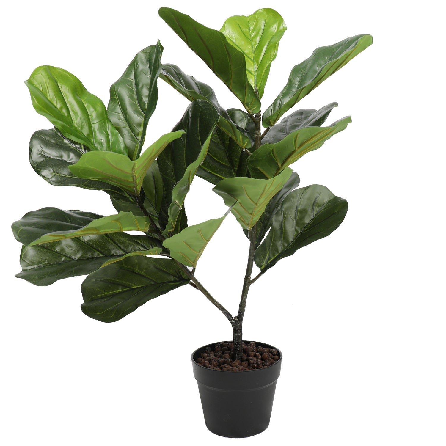 Artificial Fiddle Fig Tree 70cm - Designer Vertical Gardens artificial green wall sydney artificial vertical garden melbourne