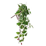 Artificial Hanging / Draping Wandering Jew 42cm - Designer Vertical Gardens artificial hanging basket artificial hanging ferns