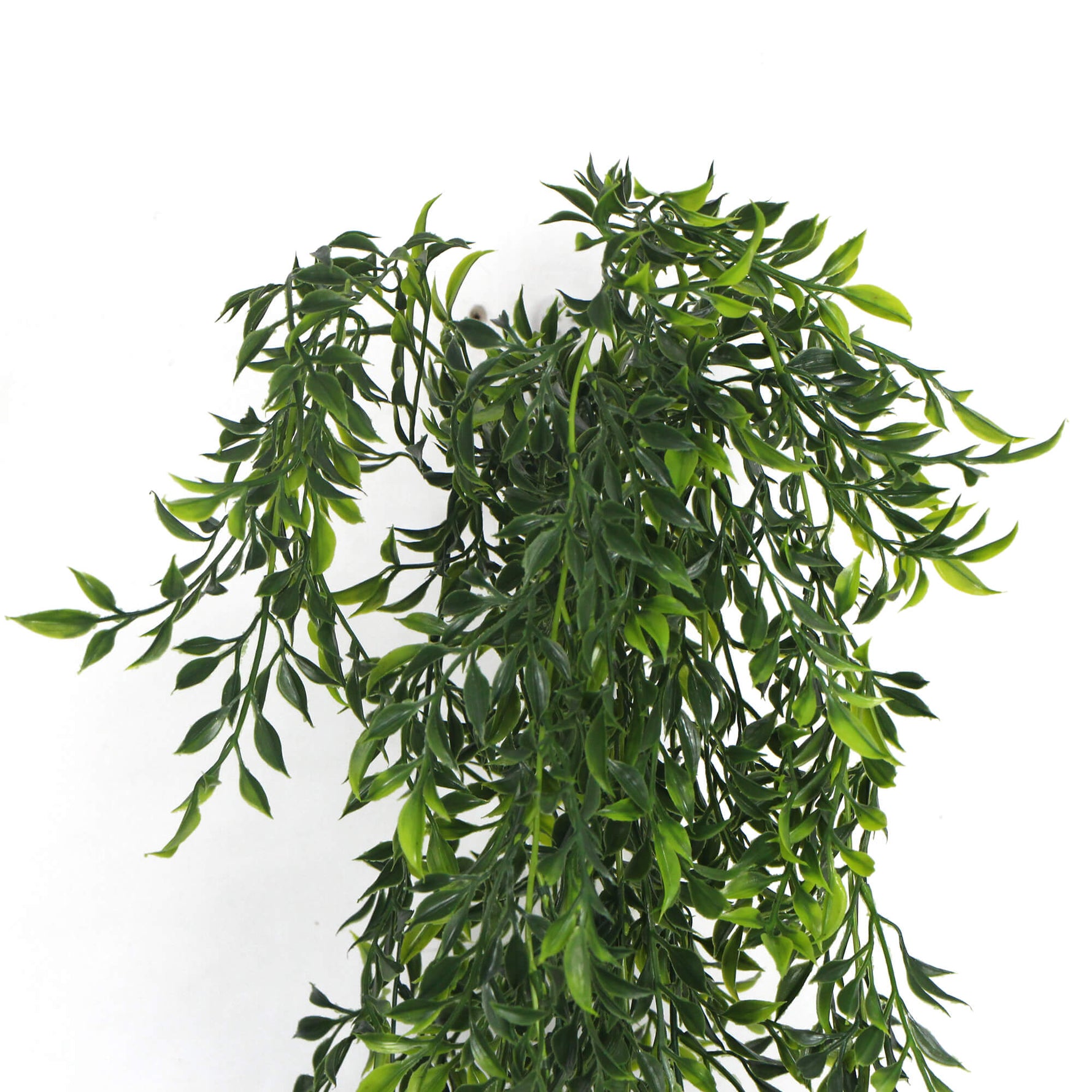 Artificial Hanging Flowering Ruscus Leaf Plant UV Resistant 130cm - Designer Vertical Gardens fake plant stem hanging fern