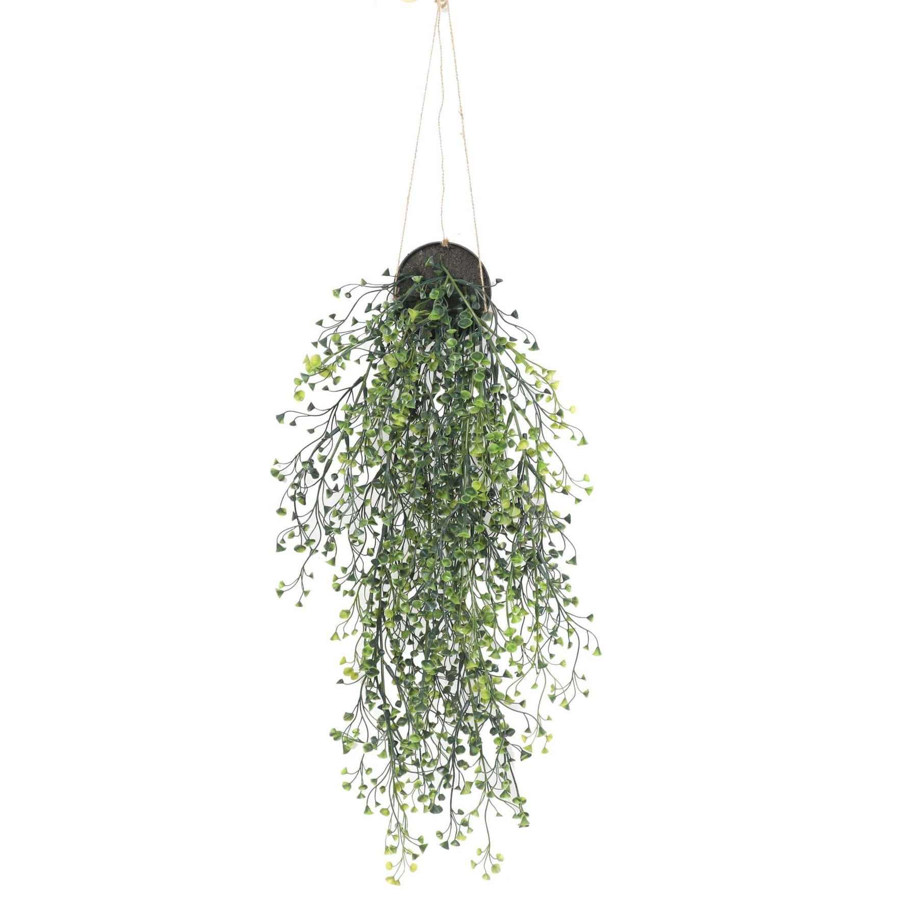 Artificial Hanging Pearls (Potted) 56cm UV Resistant - Designer Vertical Gardens hanging fern