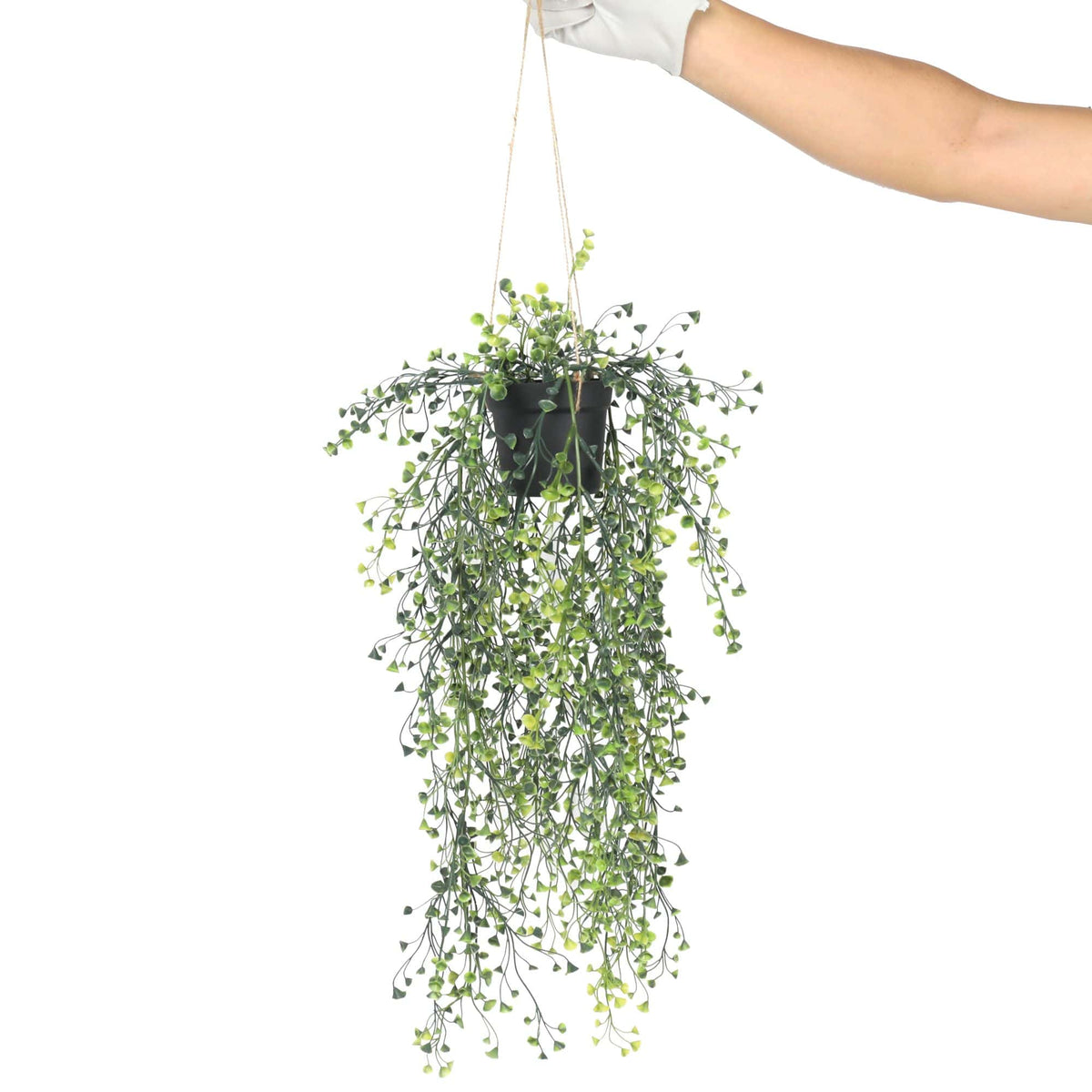 Artificial Hanging Pearls (Potted) 56cm UV Resistant - Designer Vertical Gardens hanging fern