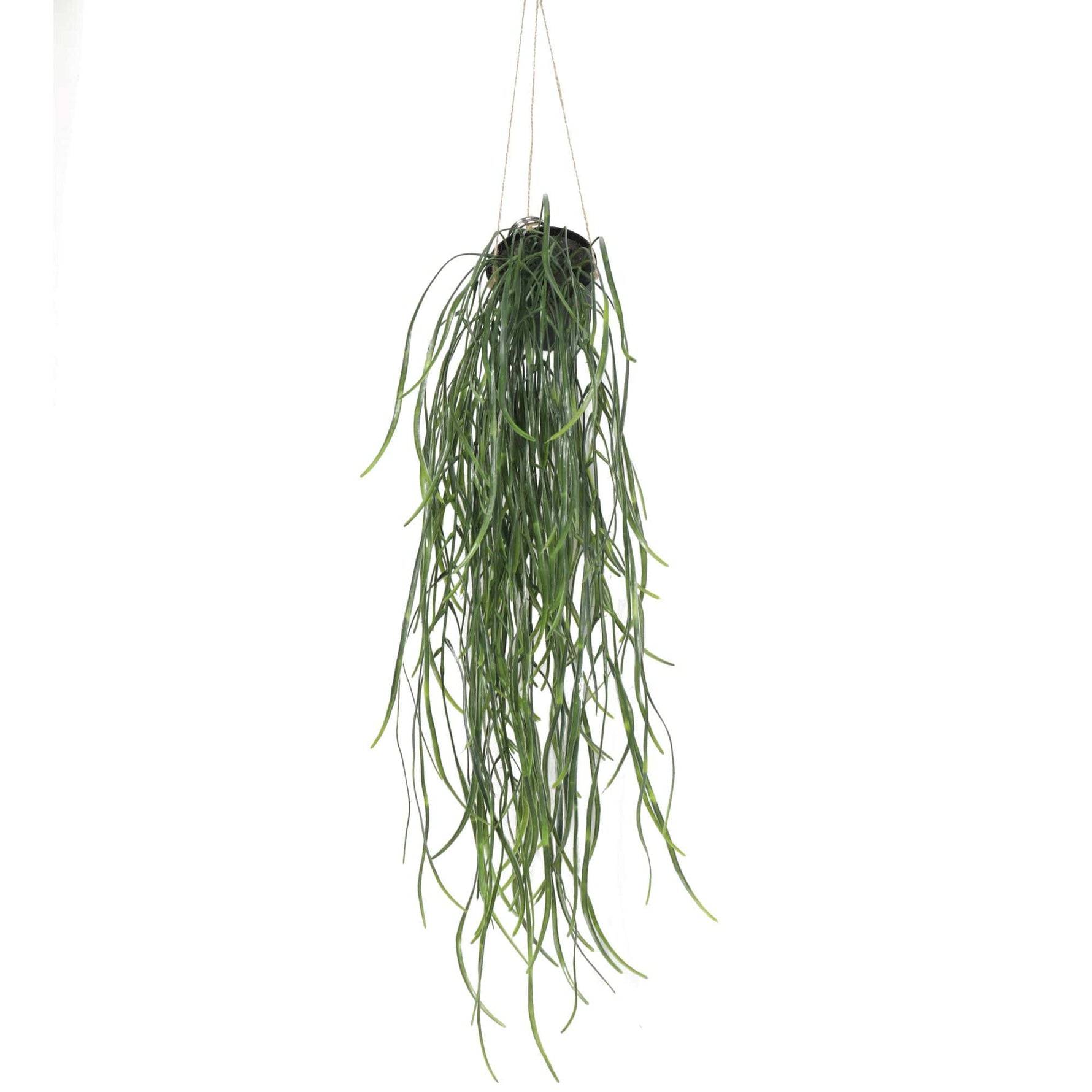 Artificial Hanging Potted Plant (Willow Leaf) 66cm UV Resistant - Designer Vertical Gardens hanging garland