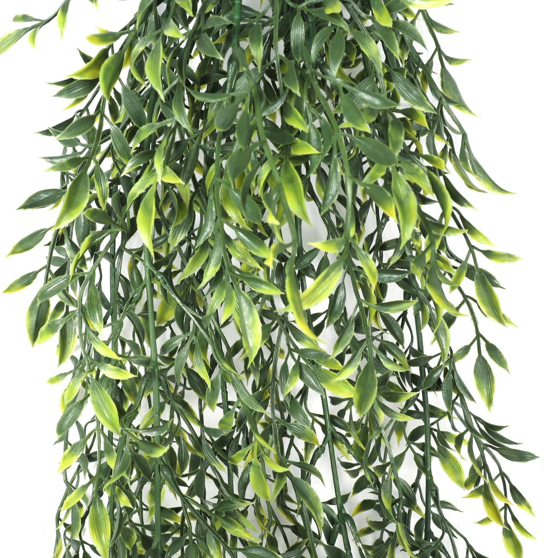 Artificial Hanging Ruscus Leaf Plant UV Resistant 90cm - Designer Vertical Gardens artificial vertical garden melbourne artificial vertical garden plants