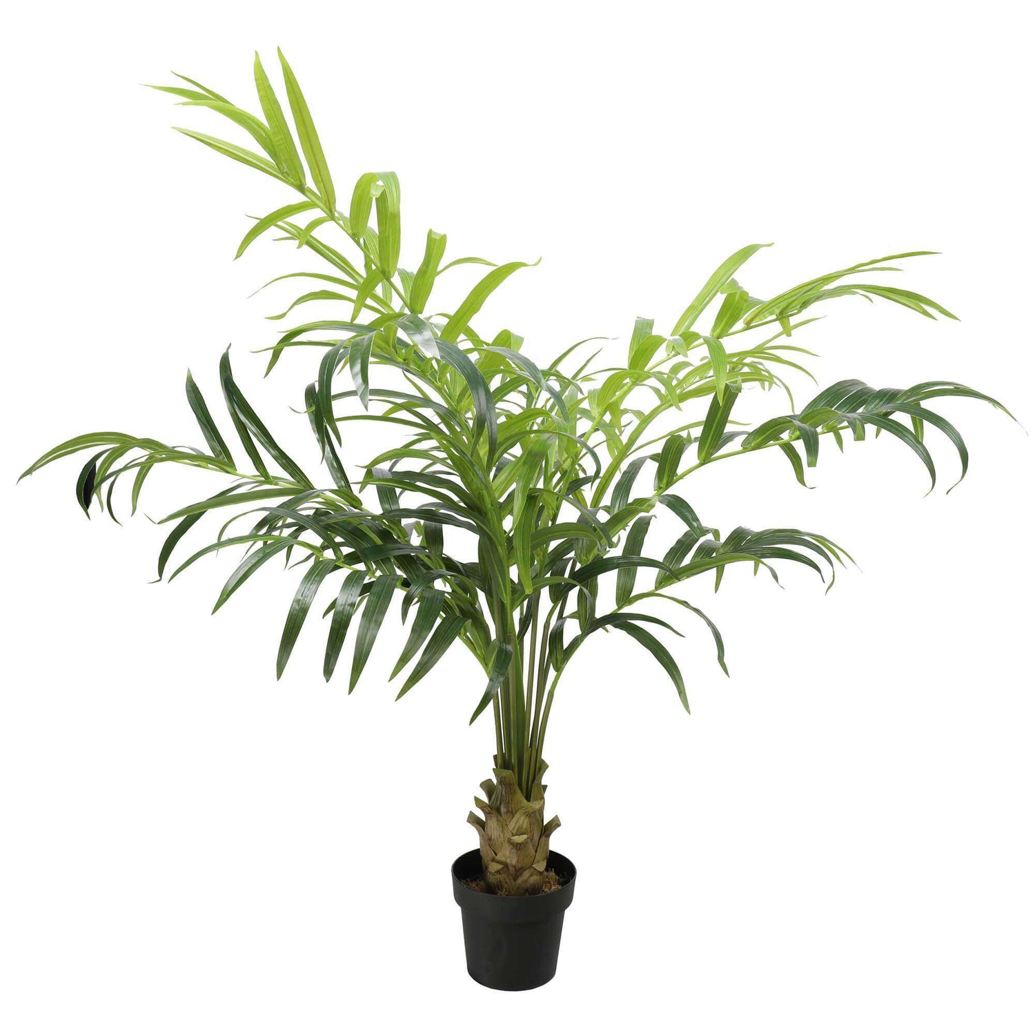 Artificial Kentia Palm Tree 150cm - Designer Vertical Gardens artificial green wall sydney artificial vertical garden melbourne