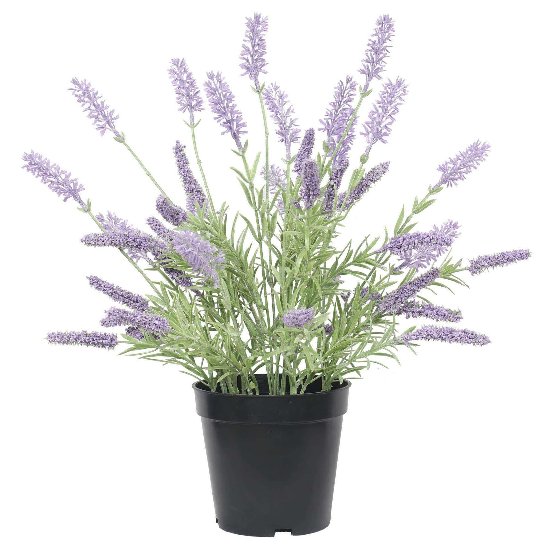 Artificial Lavender Plant in a Pot 40cm - Designer Vertical Gardens artificial vertical garden plants flowering