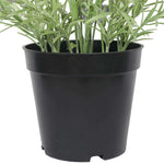 Artificial Lavender Plant in a Pot 40cm - Designer Vertical Gardens artificial vertical garden plants flowering