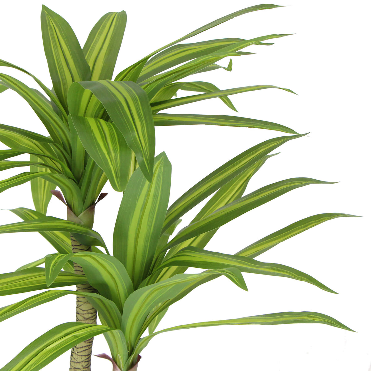 Artificial Multi Head Dracaena Tree With Mixed Green Leaves (Real Touch) 130cm - Designer Vertical Gardens Artificial Trees for Balconies Artificial Trees for Commercial Properties