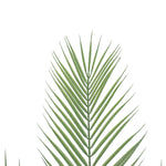 Artificial Phoenix Palm Plant 80cm - Designer Vertical Gardens Bamboos and Palm palm