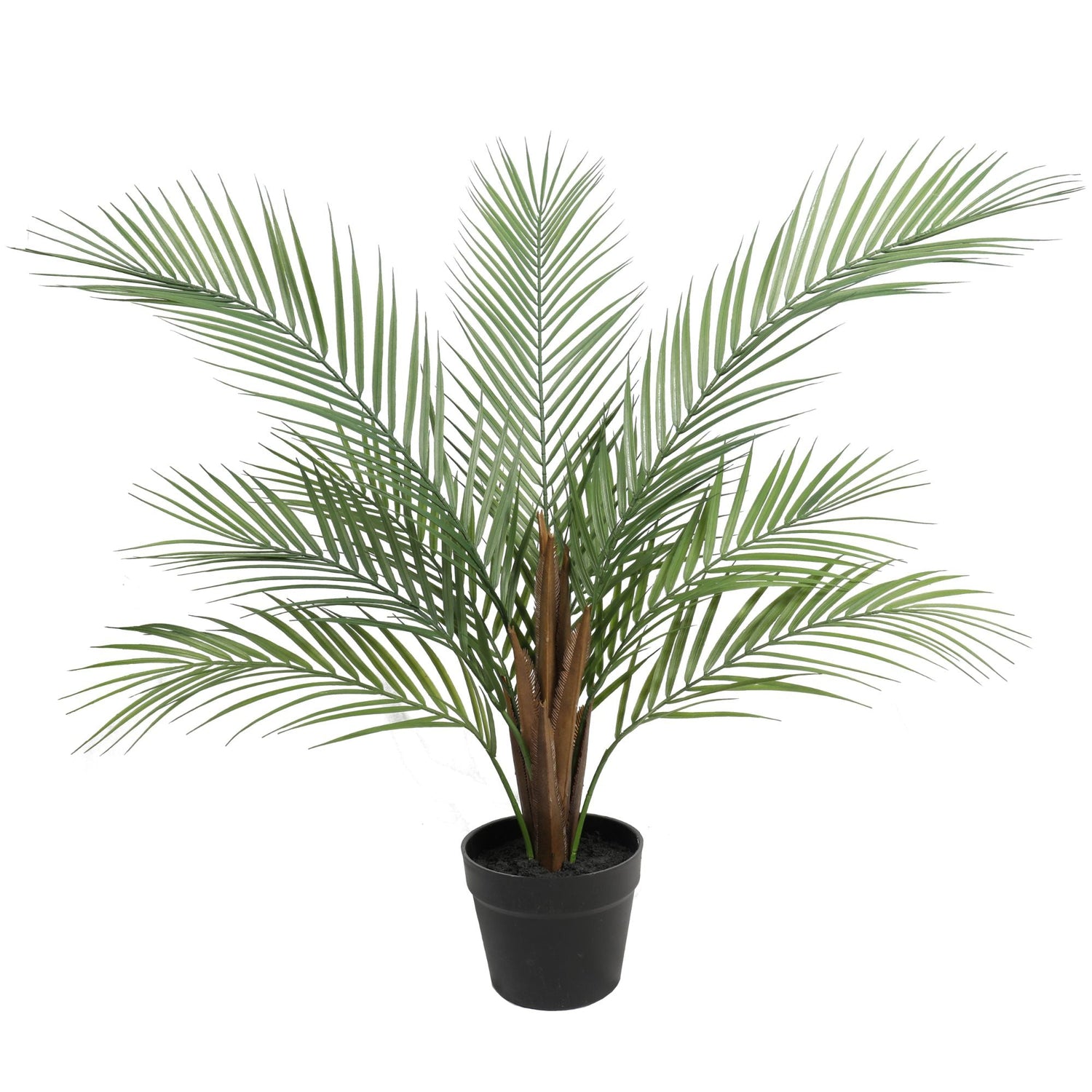 Artificial Phoenix Palm Plant 80cm - Designer Vertical Gardens Bamboos and Palm palm