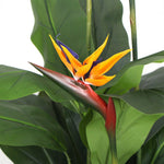 Artificial Potted 150cm Bird Of Paradise Plant-Orange - Designer Vertical Gardens Flowering plants