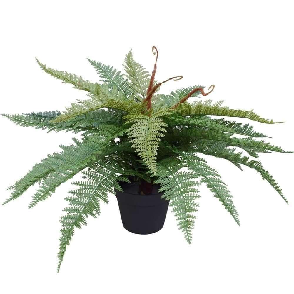 Artificial Potted Fishtail Fern 55cm - Designer Vertical Gardens artificial vertical garden plants artificial vertical garden wall