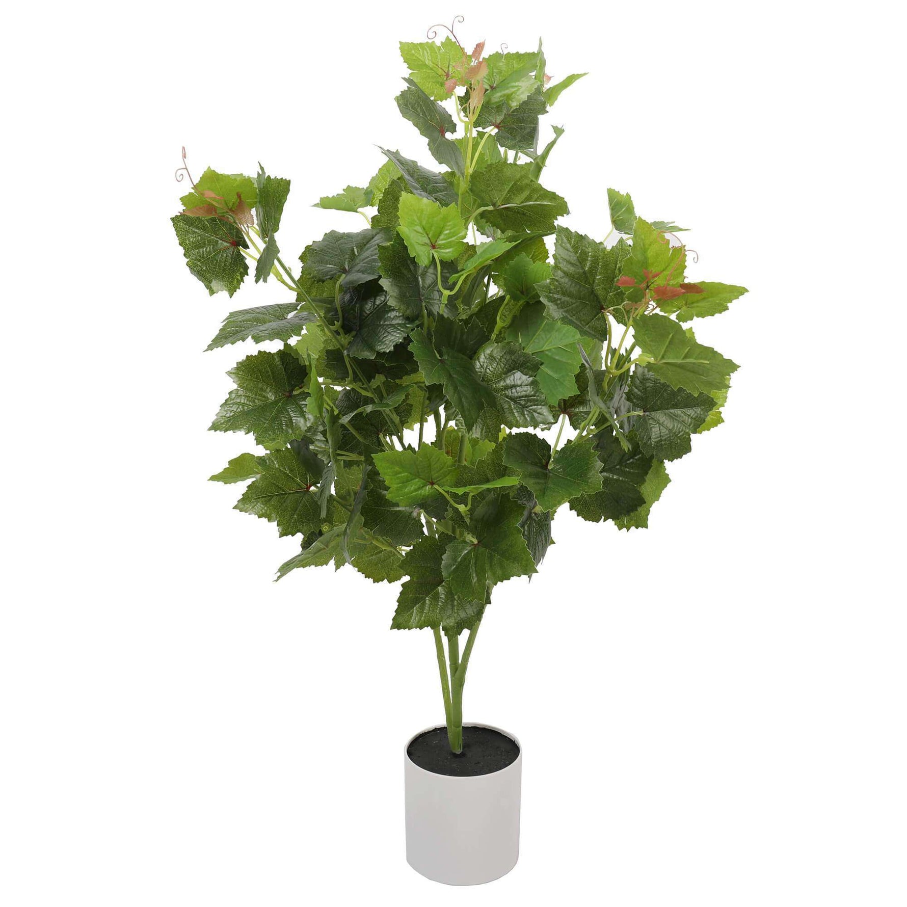 Artificial Potted Grape Vine Tree 70cm - Designer Vertical Gardens artificial green wall sydney artificial vertical garden melbourne