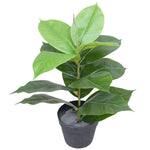 Artificial Potted Rubber Plant 55 cm - Designer Vertical Gardens artificial green wall sydney artificial vertical garden melbourne