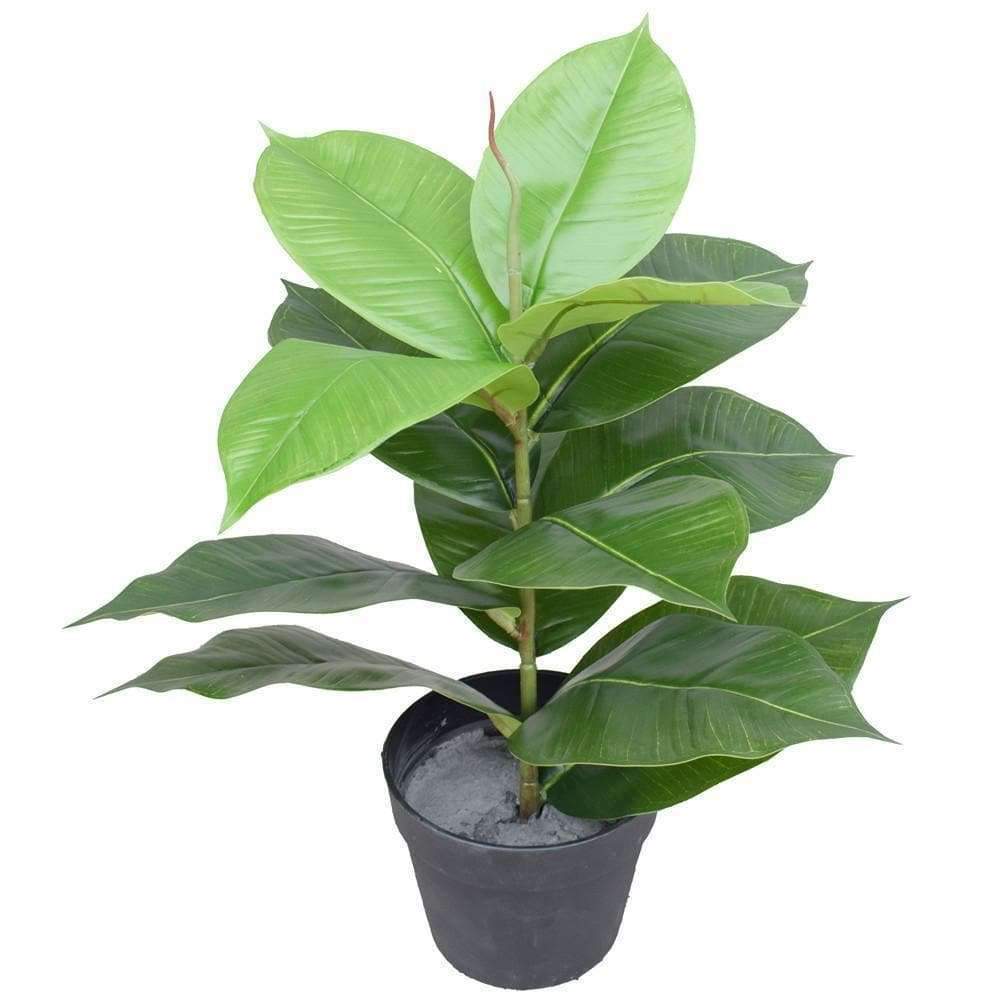 Artificial Potted Rubber Plant 55 cm - Designer Vertical Gardens artificial green wall sydney artificial vertical garden melbourne