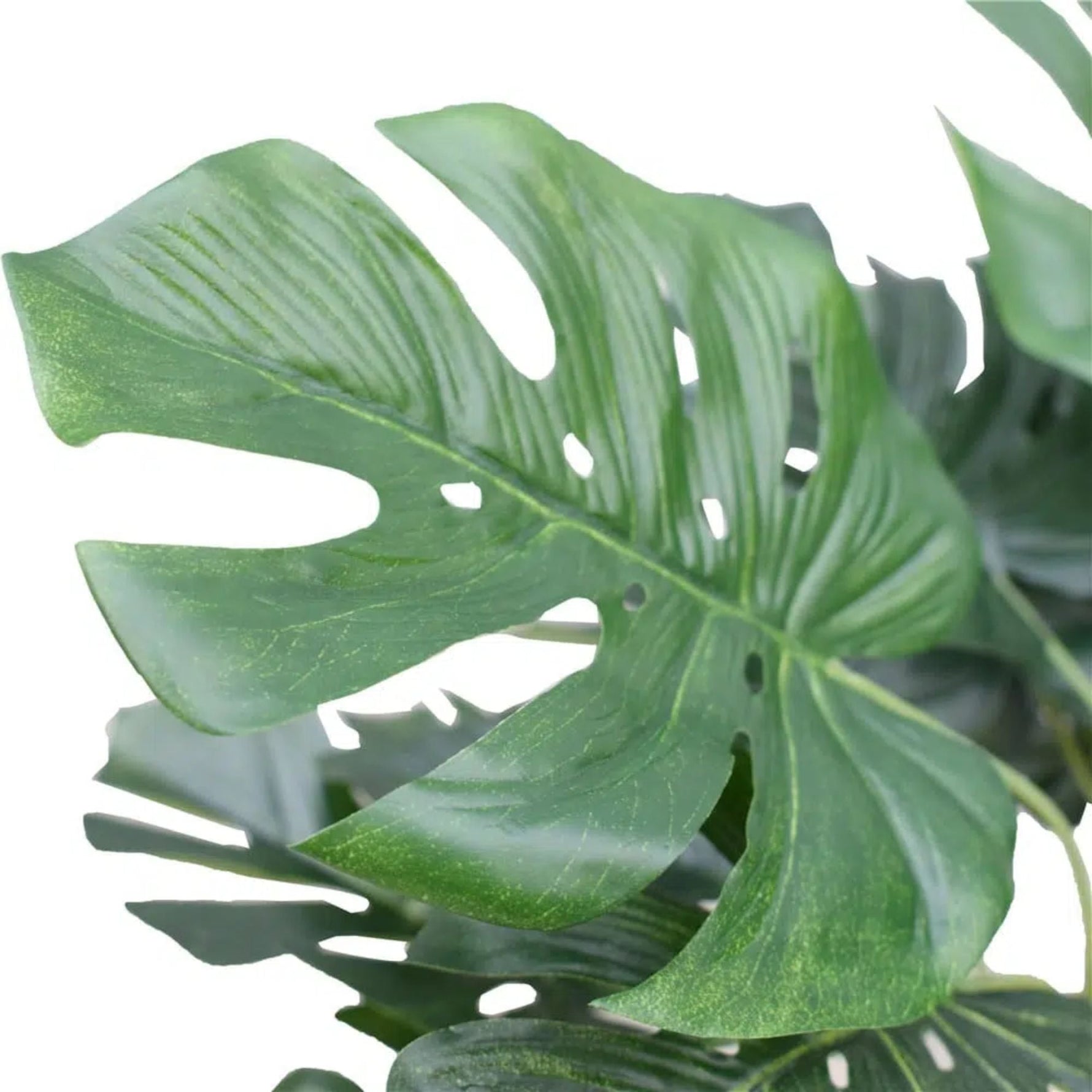 Artificial Potted Split Philodendron (Monstera) 40cm - Designer Vertical Gardens Artificial Shrubs and Small plants