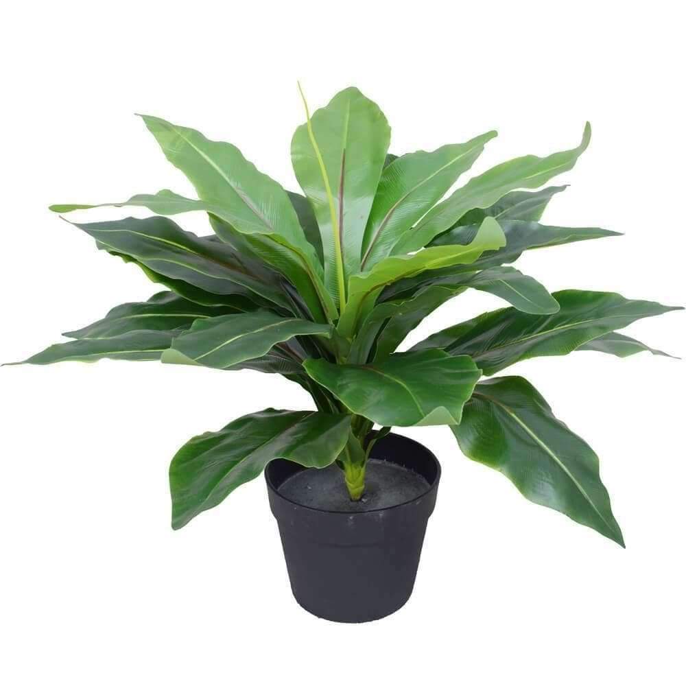 Artificial Potted Wide Leaf Birds Nest Fern 50cm - Designer Vertical Gardens artificial vertical garden plants artificial vertical garden wall