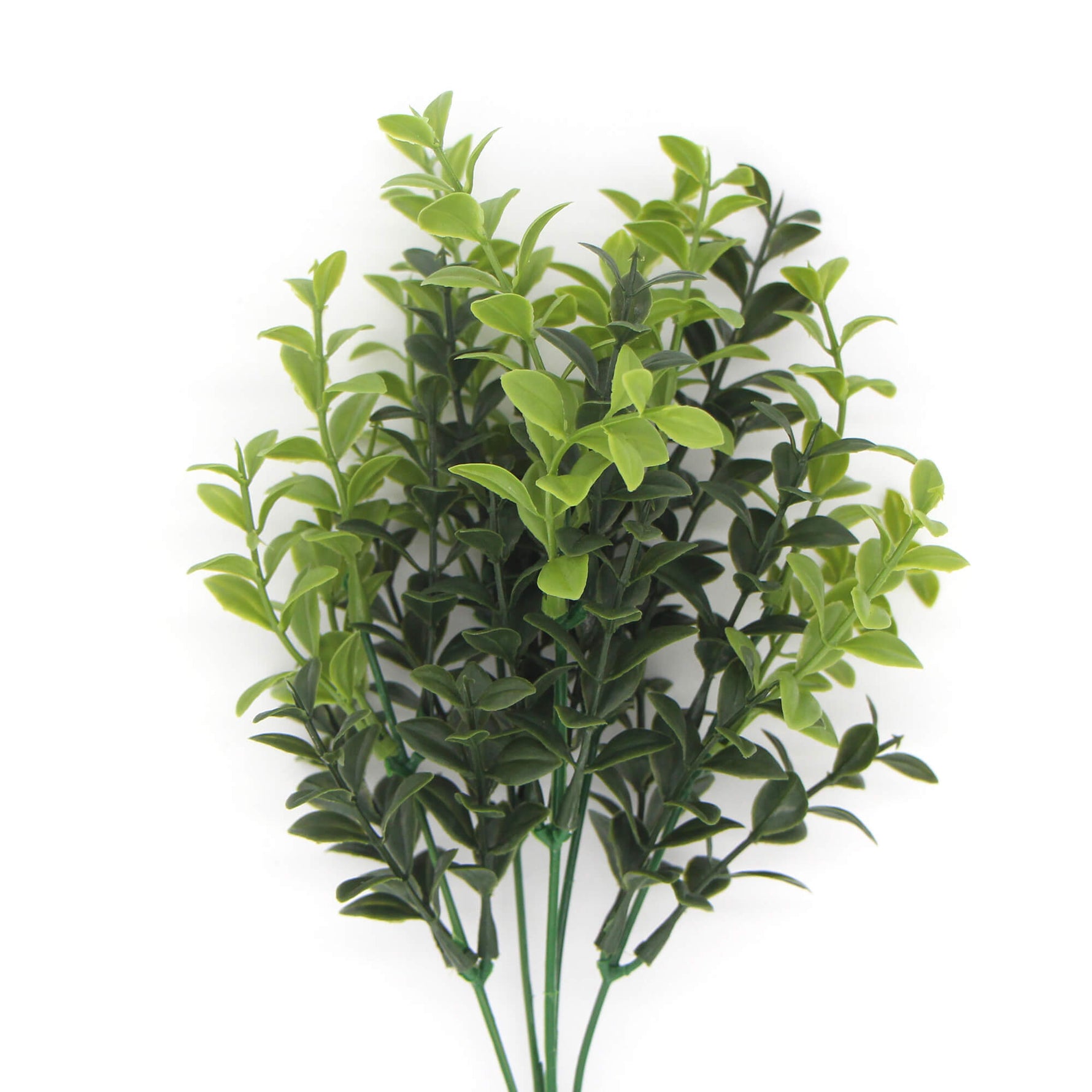 Artificial Rounded Boxwood Stem UV 30cm - Designer Vertical Gardens fake plant stem Stems / Ferns