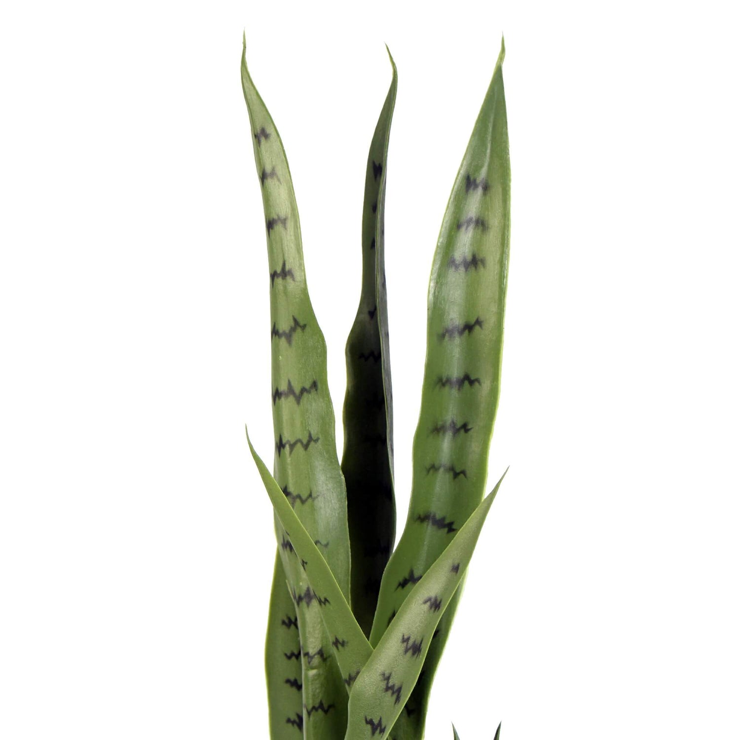 Artificial Snake Plant Sansevieria UV Resistant 85cm - Designer Vertical Gardens Artificial Shrubs and Small plants snake plant