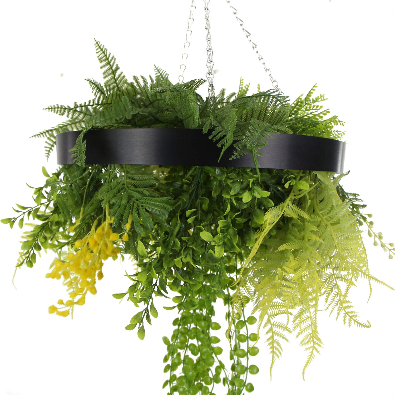 Black Framed Roof Hanging Disc With Draping Life-Like Plants 40cm - Designer Vertical Gardens hanging fern hanging garland