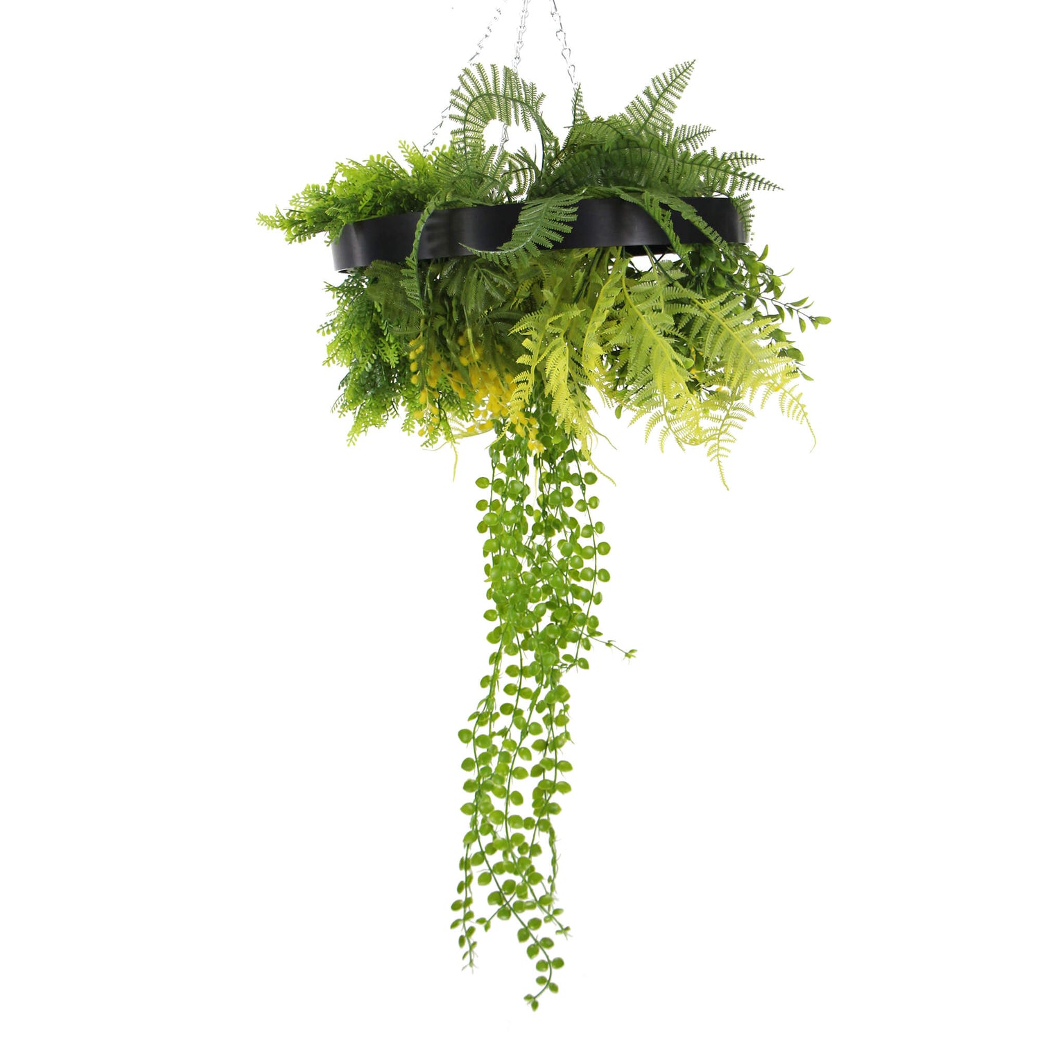 Black Framed Roof Hanging Disc With Draping Life-Like Plants 40cm - Designer Vertical Gardens hanging fern hanging garland