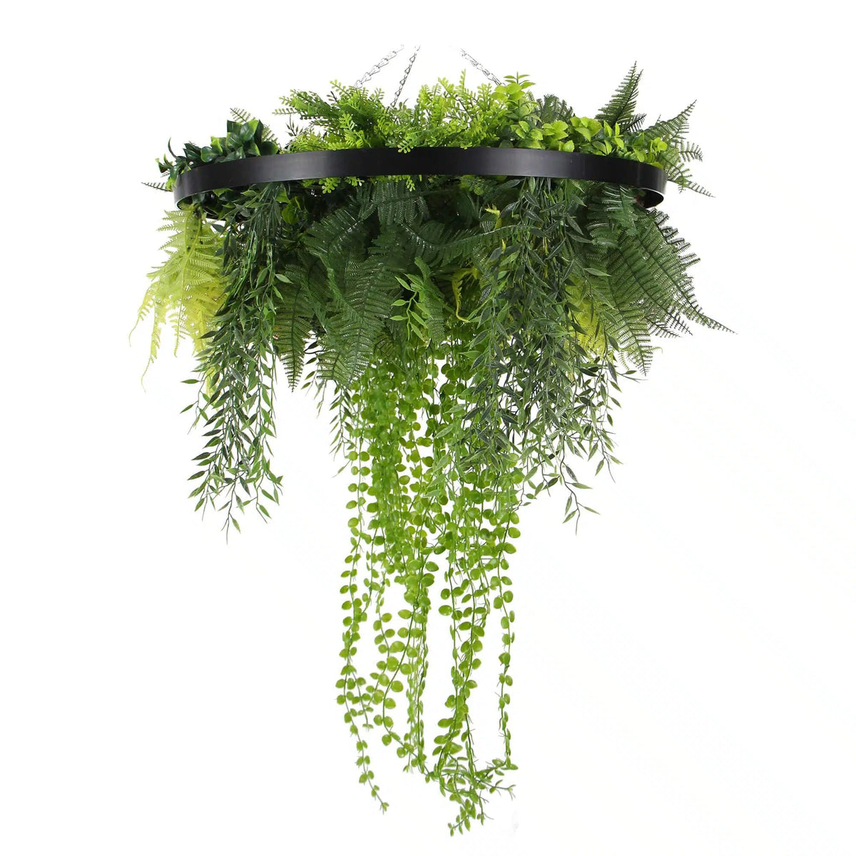 Black Framed Roof Hanging Disc With Draping Life-Like Plants 60cm - Designer Vertical Gardens hanging plants